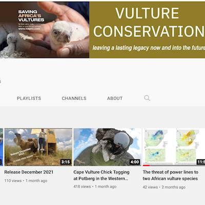 Help VulPro with 1000 volunteers for subscribing and liking our YouTube page