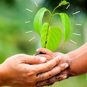 Help Seed of Hope Community Development Centre with 5 volunteers for Environment & Sustainability Initiatives