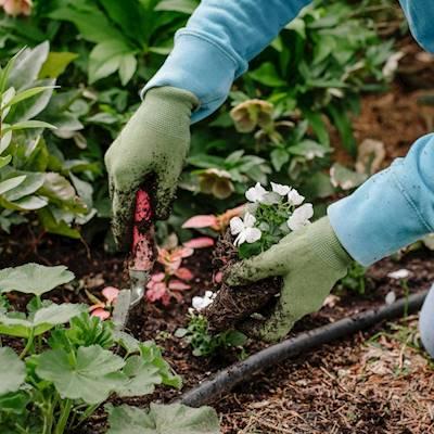 Help Amile Amazulu Foundation with 5 volunteers for helping us with maintenance of our garden.