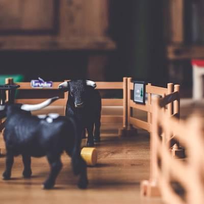 Help Angels of Hope by Arts attire for Arts Programme