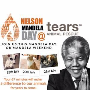 Help TEARS Animal Rescue with 50 volunteers for Mandela Day / Mandela Weekend