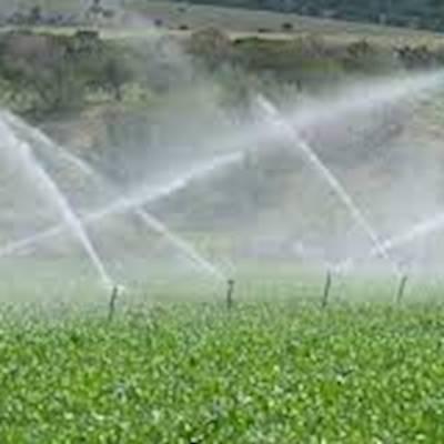 Help The Topsy Foundation - Johannesburg by donating sprinkler systems for our vegetable gardening programme