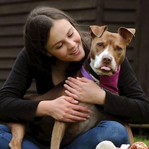 Help Animal Welfare Society of South Africa with 5 volunteers for assistance with general pet care duties