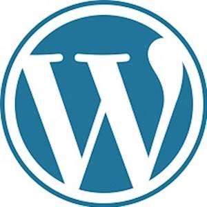 Help The 100% foundation with 10 volunteers for updating our wordpress site