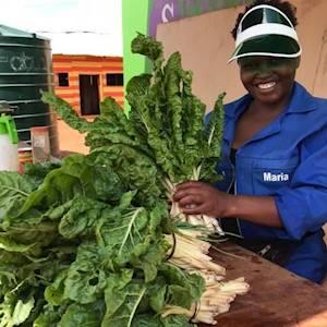 Help The Winnie Mabaso Foundation by seeds, seedlings and gardening tools for a project supporting the underprivileged