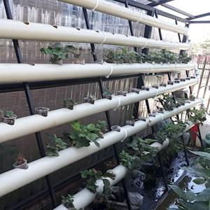 Help Manger Care Centre by Requesting a quotation to for manufacture agricultural tunnels