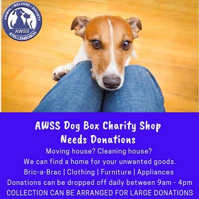 Help Animal Welfare Society Stellenbosch by Donating pre-loved clothing for The Dog Box Charity Shop