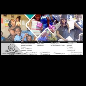 Help Phronesis Student Development Trust with 10 volunteers for Marketing our NPO Services, Public Relations and Media