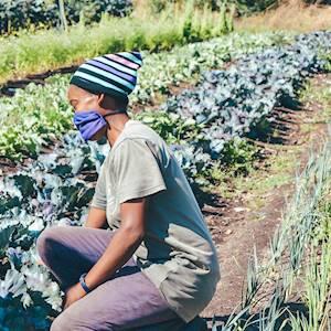 Help Ladles of Love raise R6,000 for The #GiftAloveGarden to help grow farms for R300 each