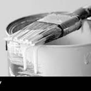 Help The Living Link's AIP & WRP Training Programme by Donating white internal and external paint and gutters for Painting the independent living residents houses