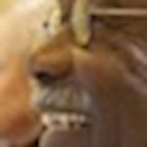 Help Kagcisham WOMEN Development Center by donation of aircorn for the office