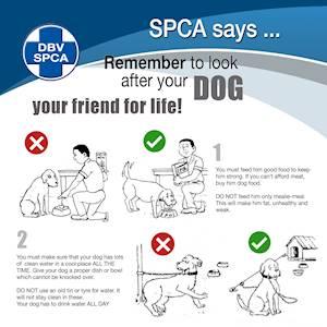 Help Tshwane SPCA by sponsoring printing of booklets for community outreach programmes