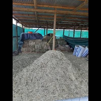 Help Eseltjiesrus Donkey Sanctuary by donating food for our donkeys