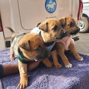 Being the #ONE to make the life-saving difference