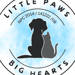 Little Paws Big Hearts Secunda