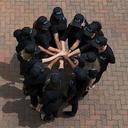 TEARS Team profile photo